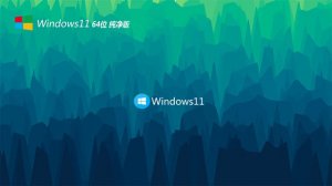 系统之家Windows 11 64位 极速纯净版系统